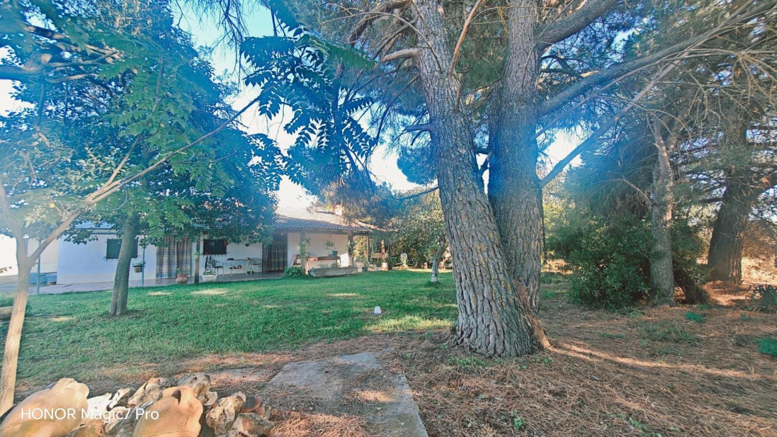Finca en Venta en Zamora