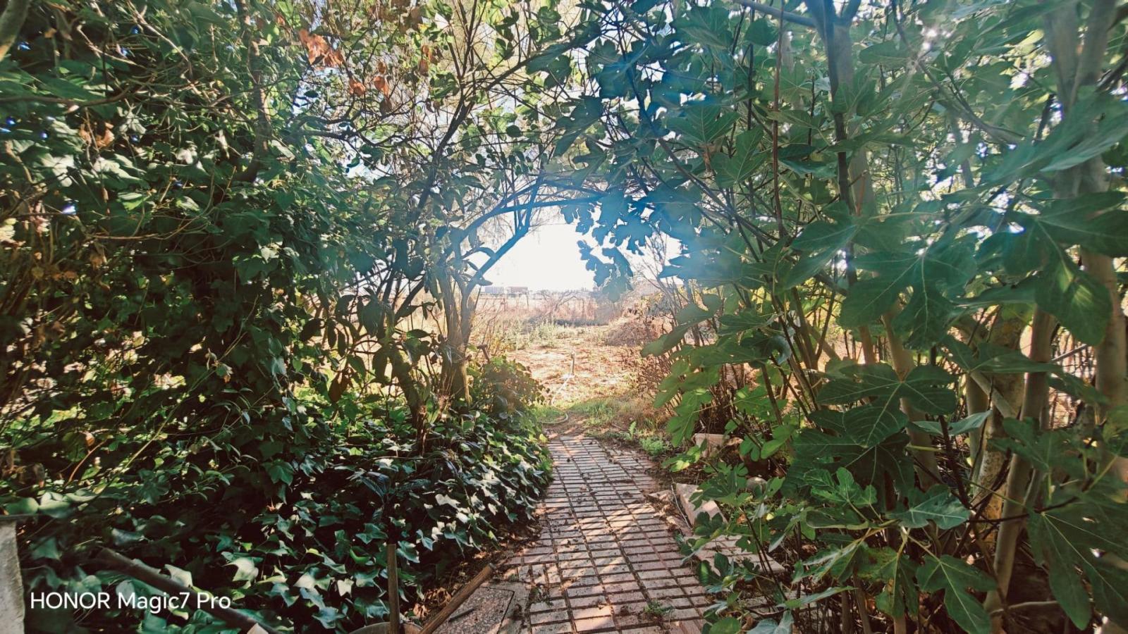 Finca en Venta en Zamora
