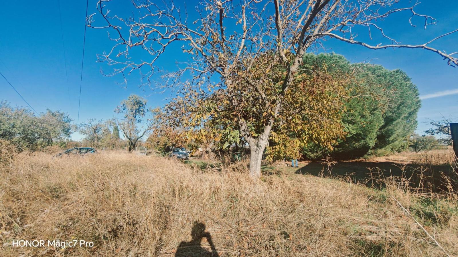 Finca en Venta en Zamora