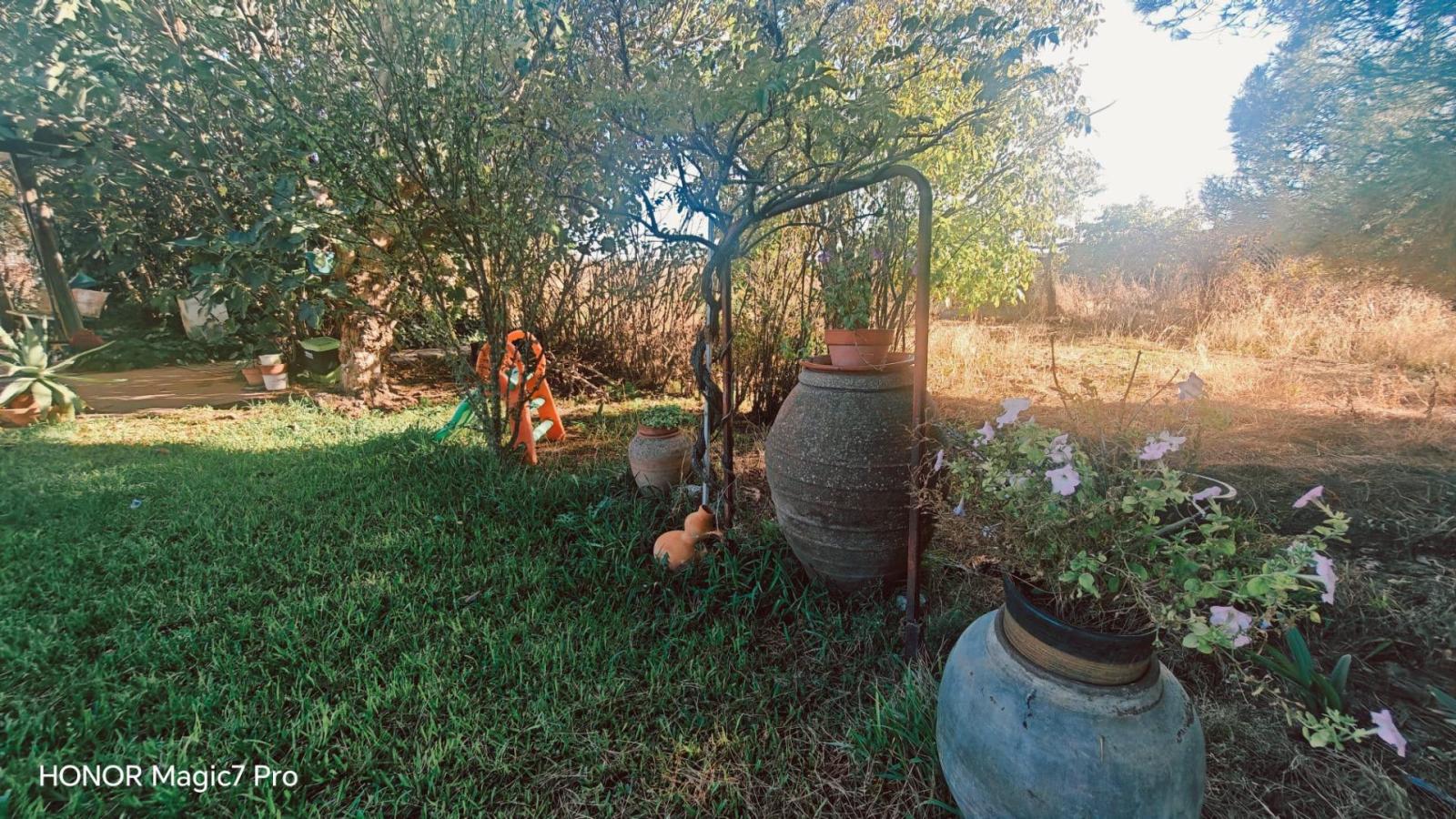Finca en Venta en Zamora