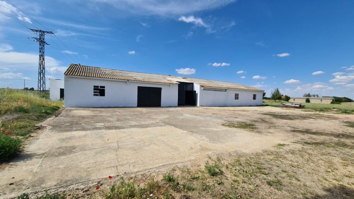 Industrial Unit for Sale in Morales del Vino