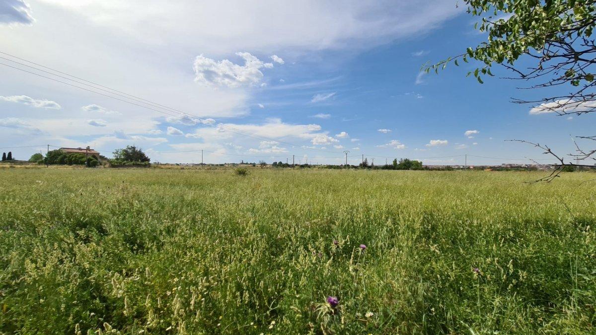 Industrial Unit for Sale in Morales del Vino