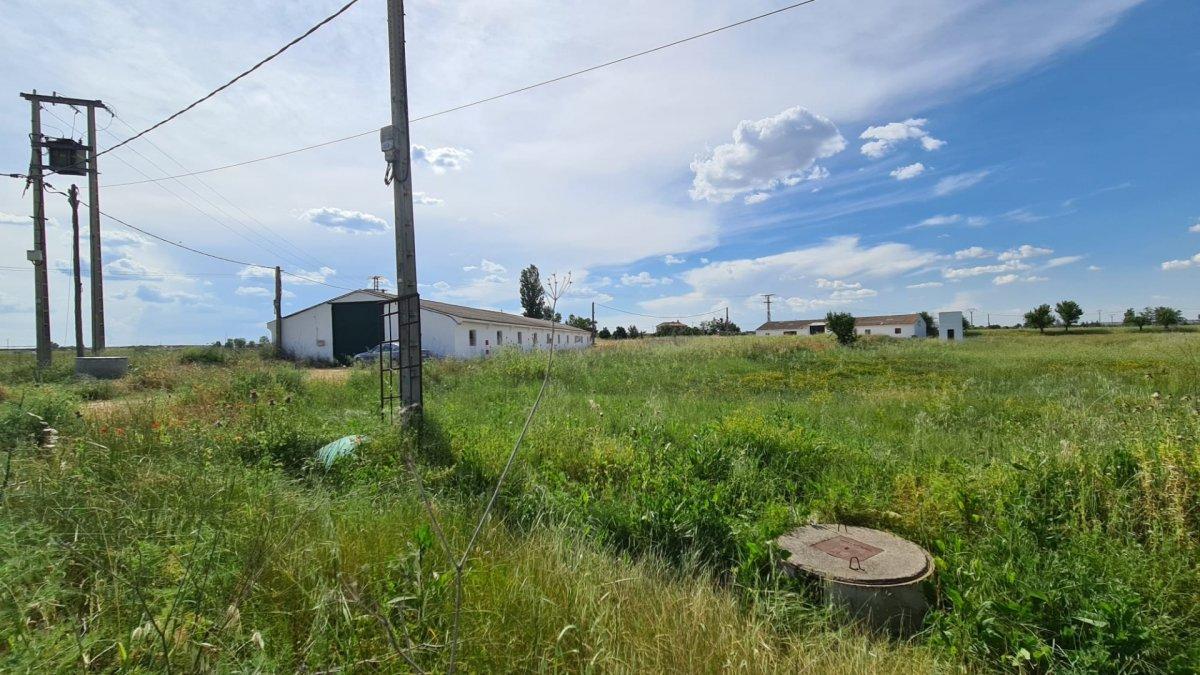 Industrial Unit for Sale in Morales del Vino
