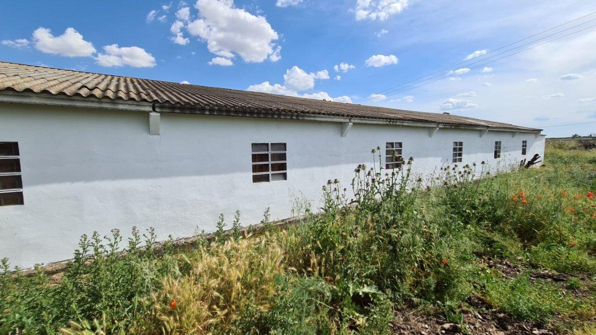Industrial Unit for Sale in Morales del Vino
