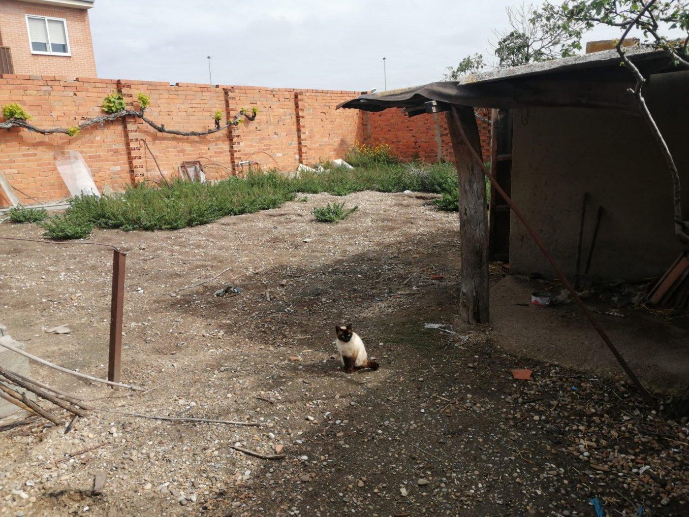 Solar en Venta en Zamora