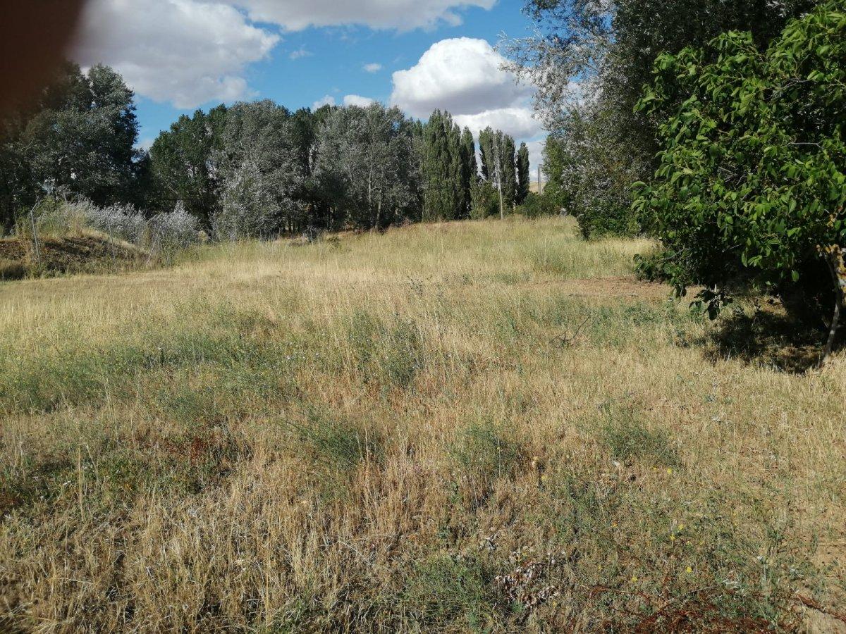 Finca en Venta en La Hiniesta