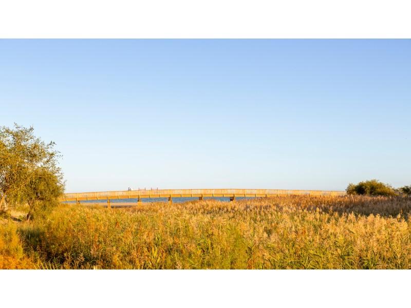 Flat for Sale in Vera