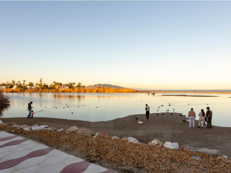 Flat for Sale in Vera