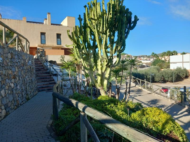 Apartment for Sale in Vera