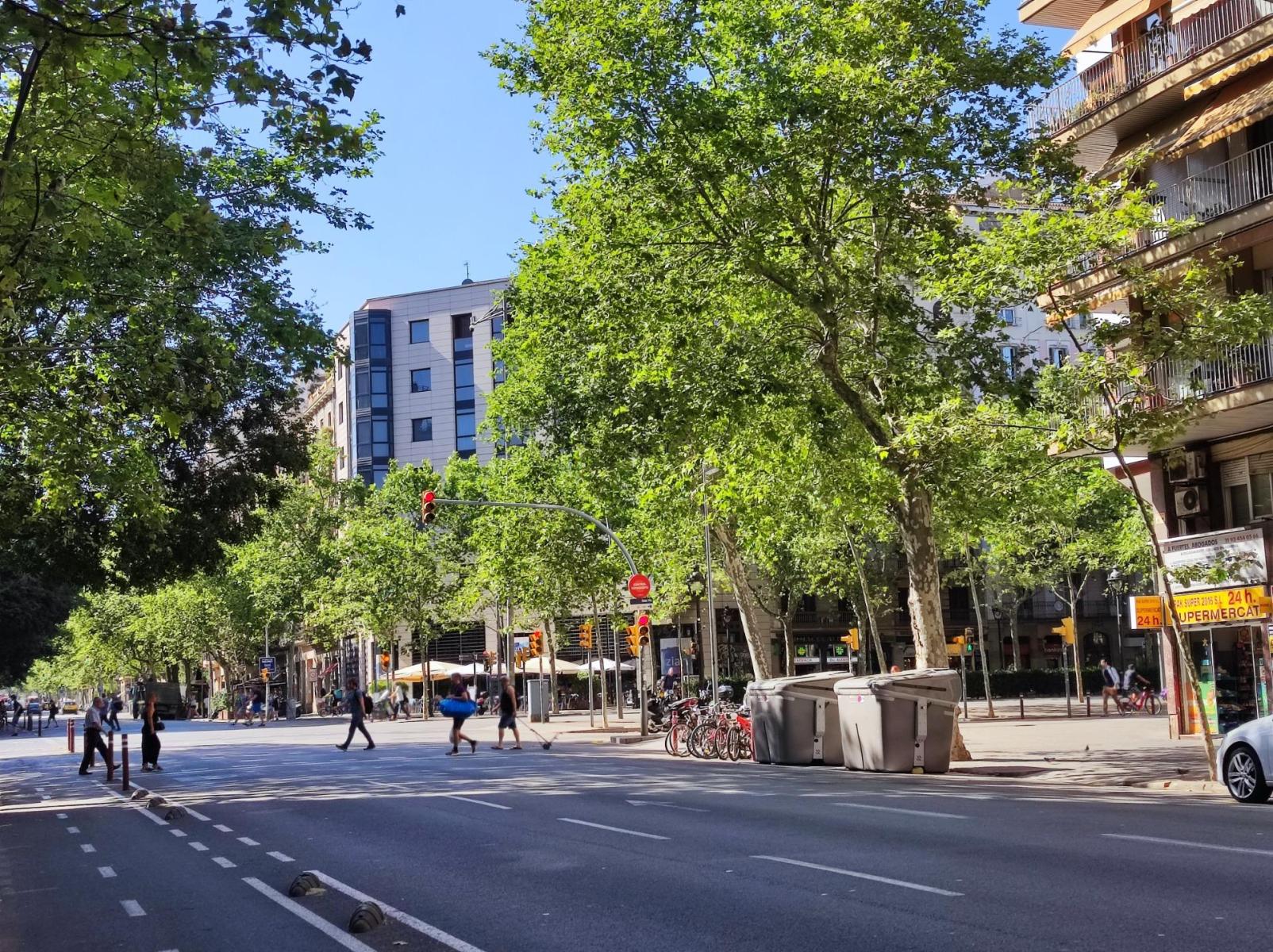 Flat for Sale in Barcelona