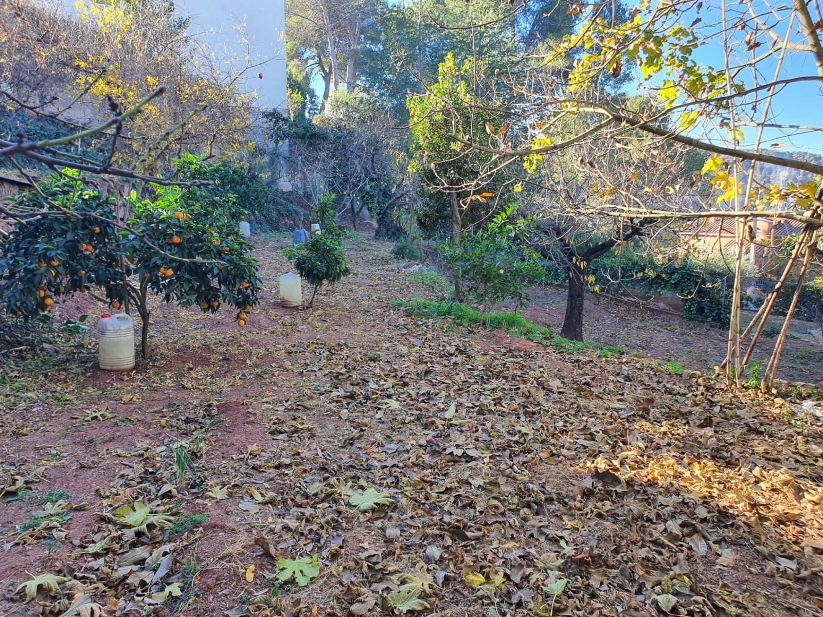 Parcela en Venta en Castellví de Rosanes