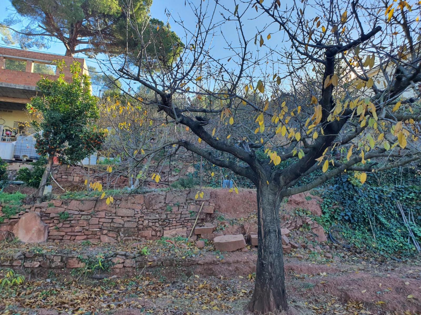 Parcela en Venta en Castellví de Rosanes