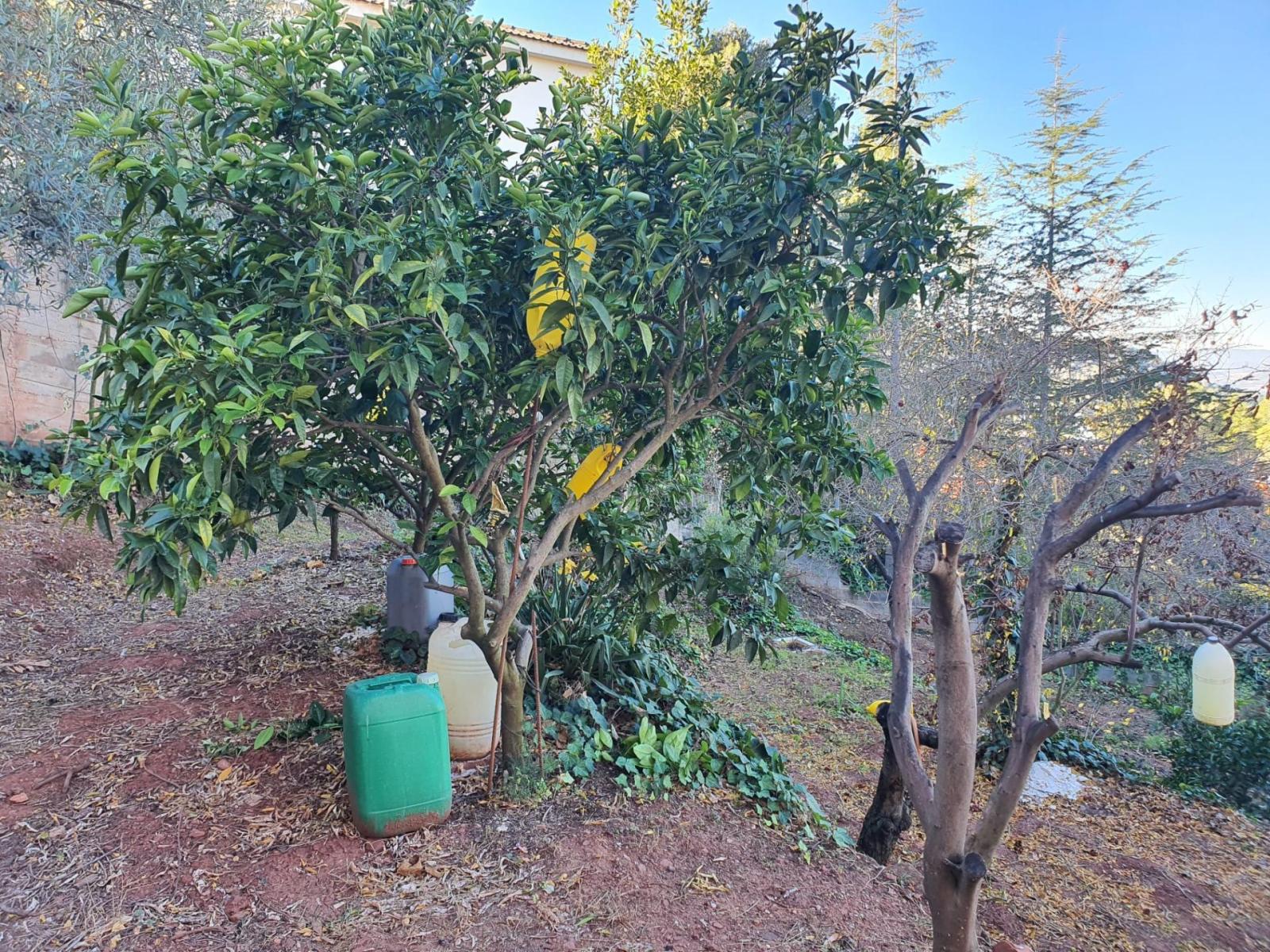 Parcela en Venta en Castellví de Rosanes