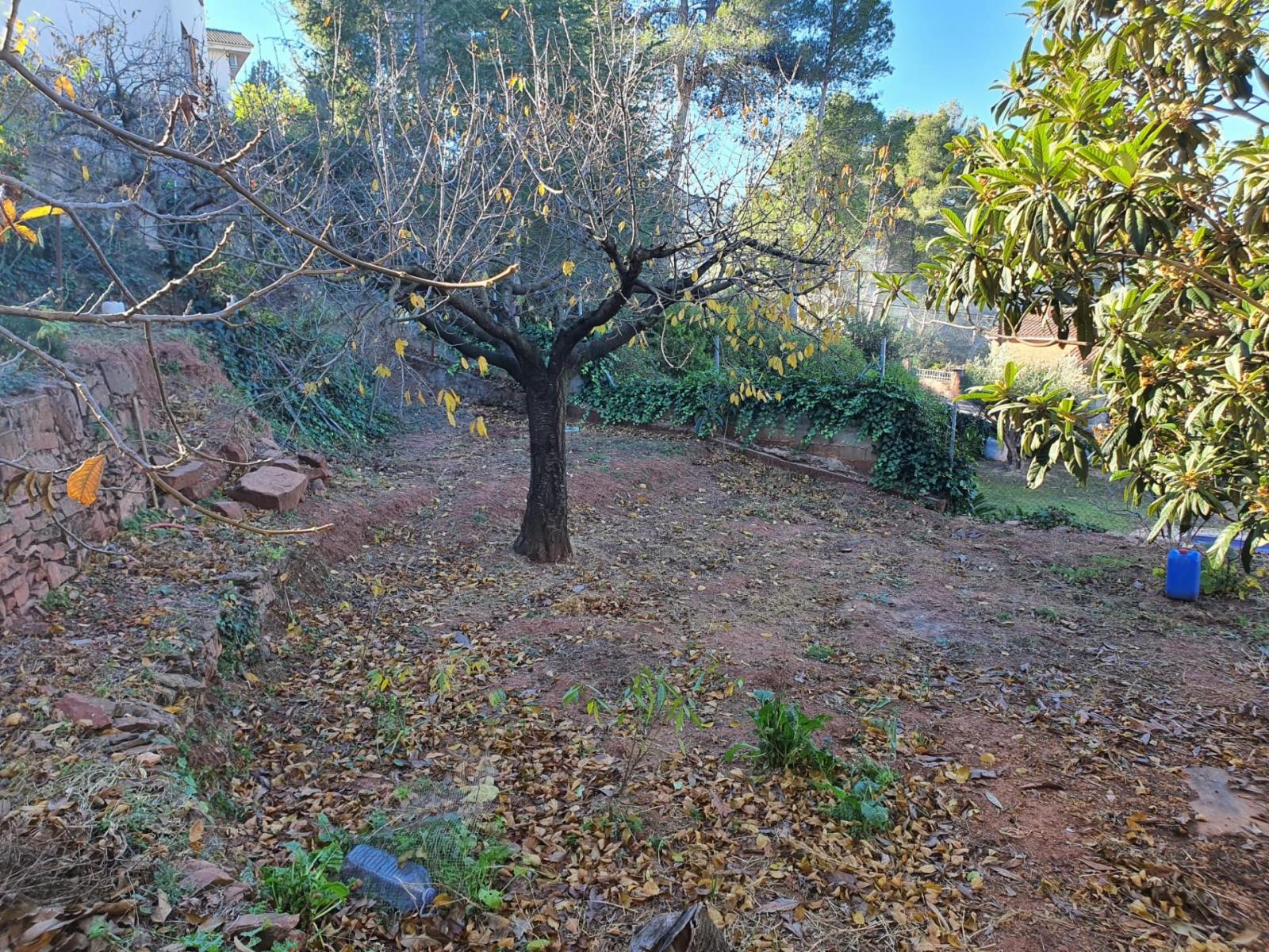 Parcela en Venta en Castellví de Rosanes