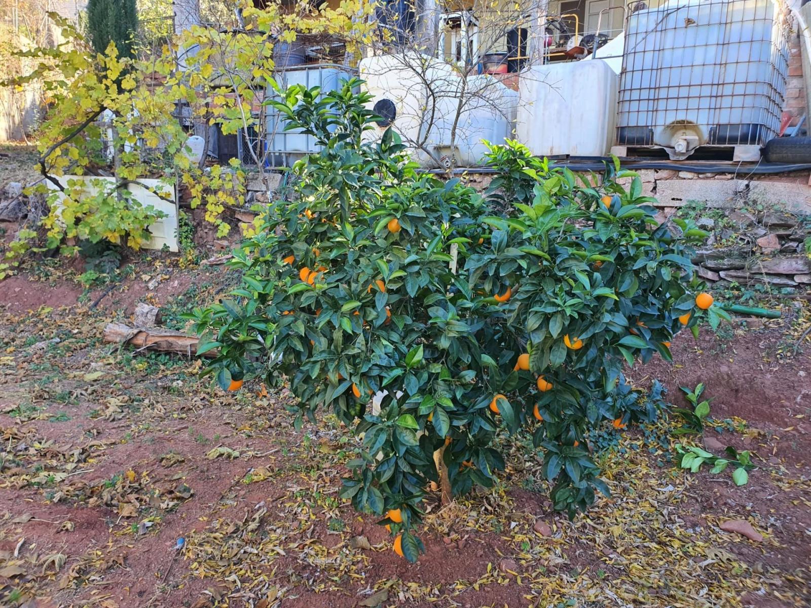 Parcela en Venta en Castellví de Rosanes