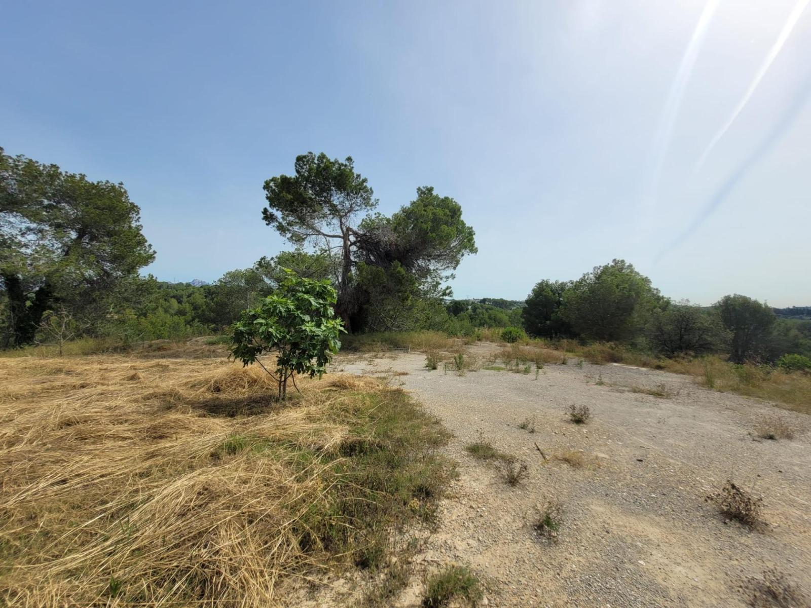 Plot for Sale in Masquefa
