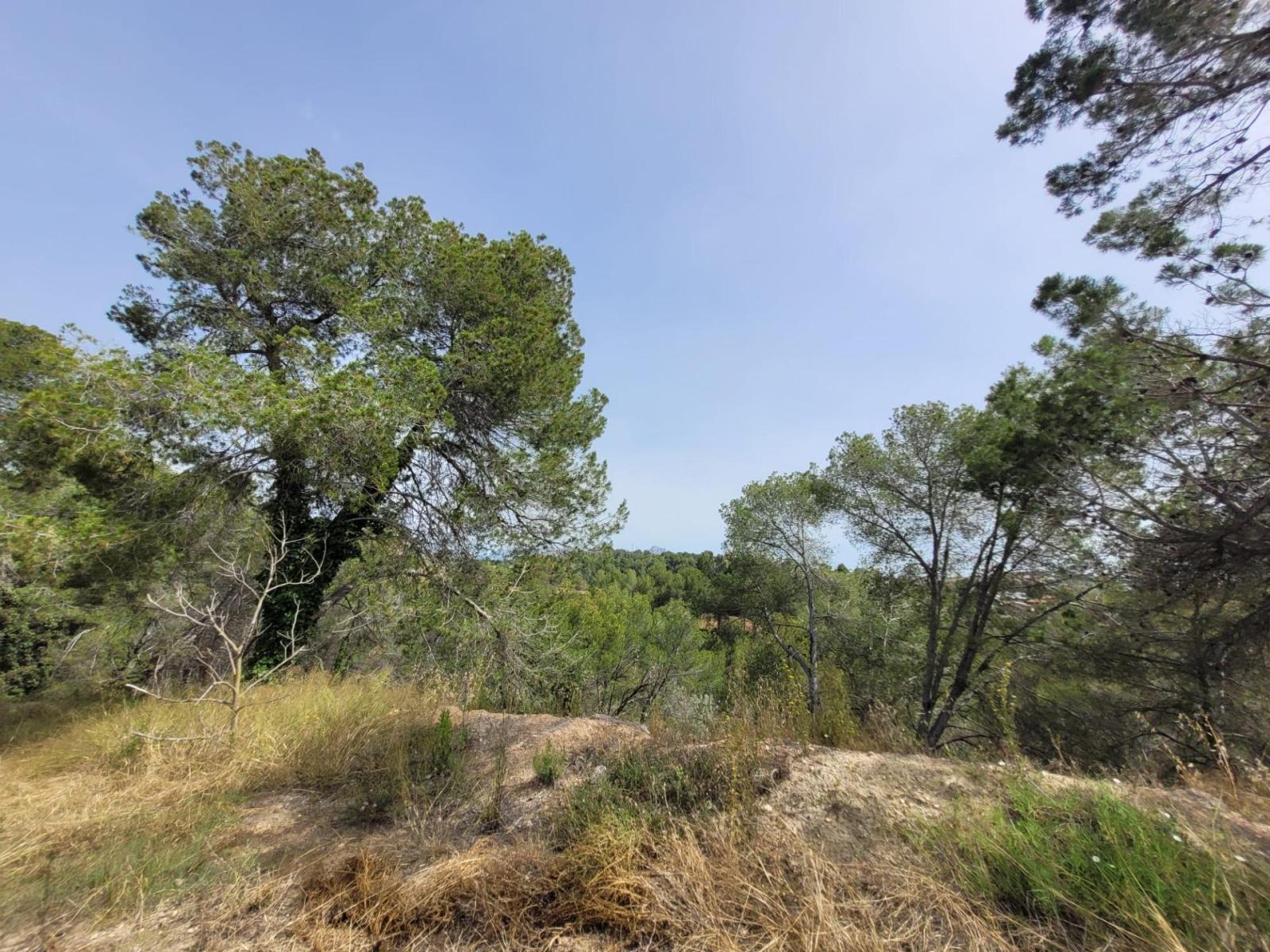 Plot for Sale in Masquefa