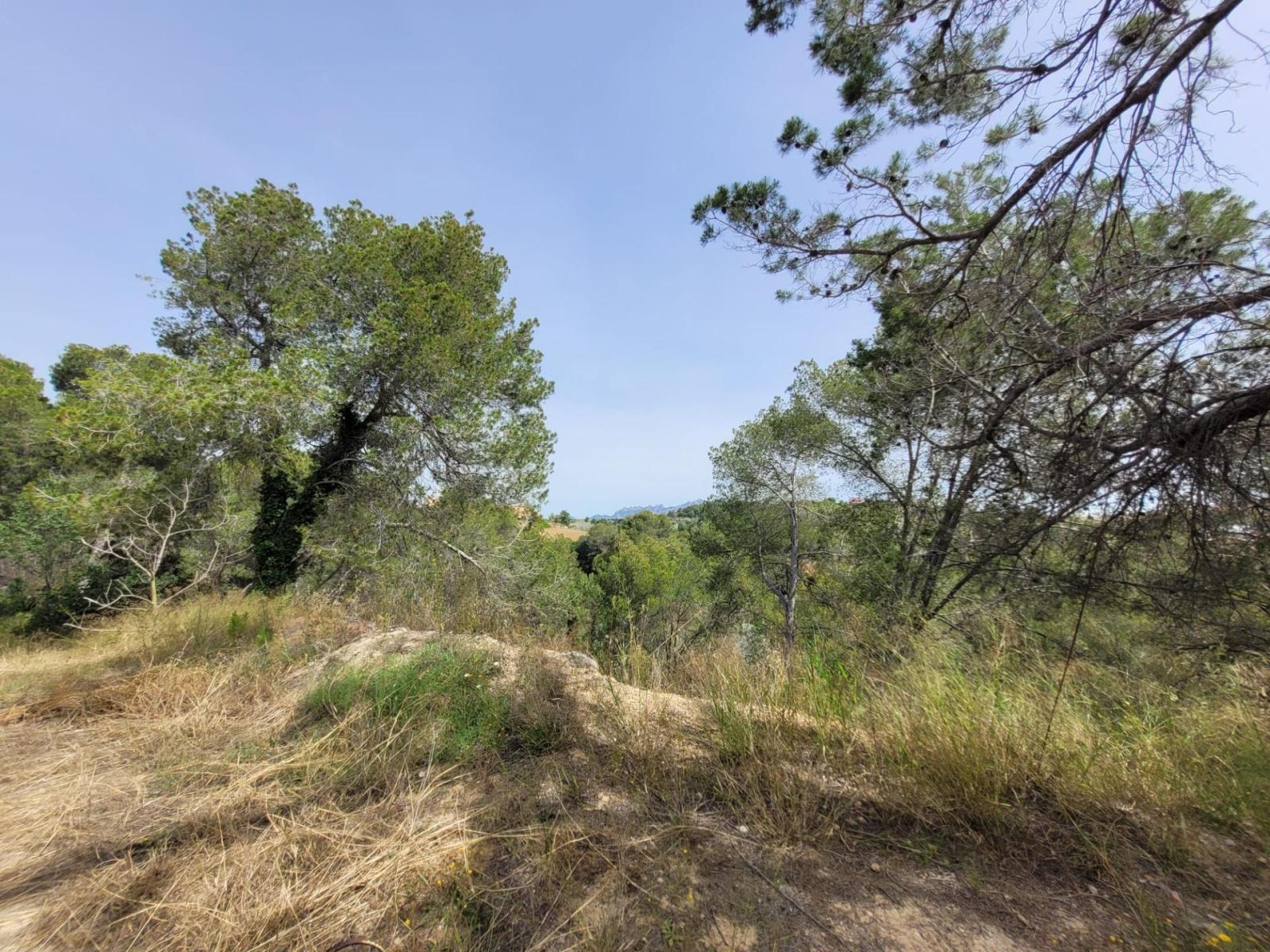 Plot for Sale in Masquefa