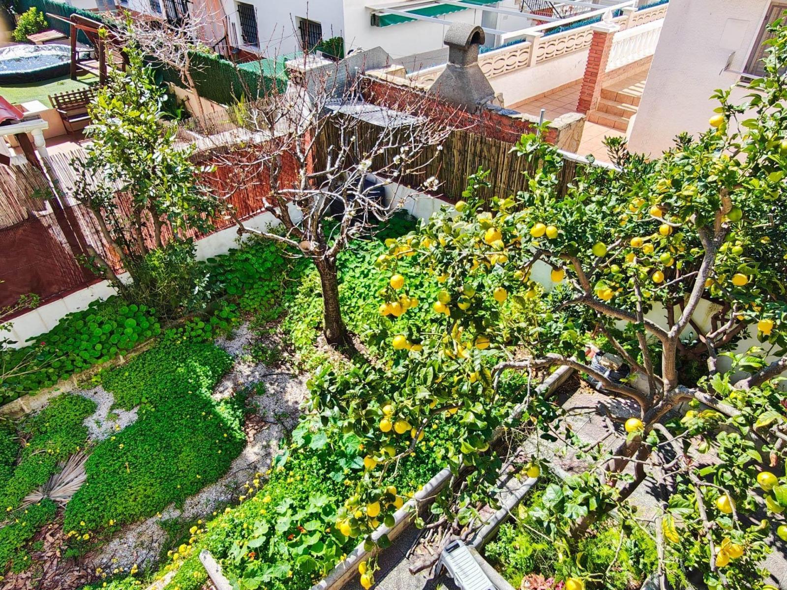Flat for Sale in Cunit