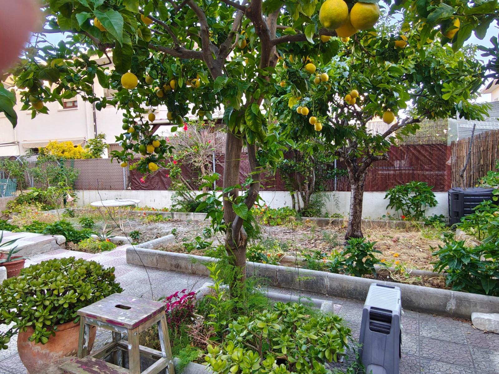Flat for Sale in Cunit