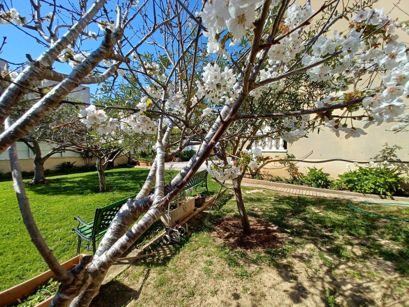 Flat for Sale in Cunit