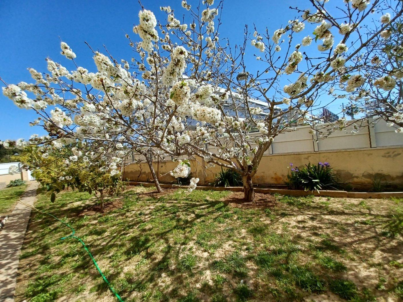 Flat for Sale in Cunit