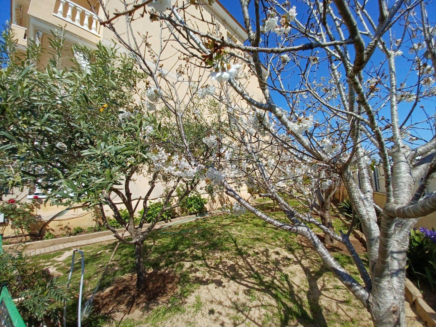 Flat for Sale in Cunit