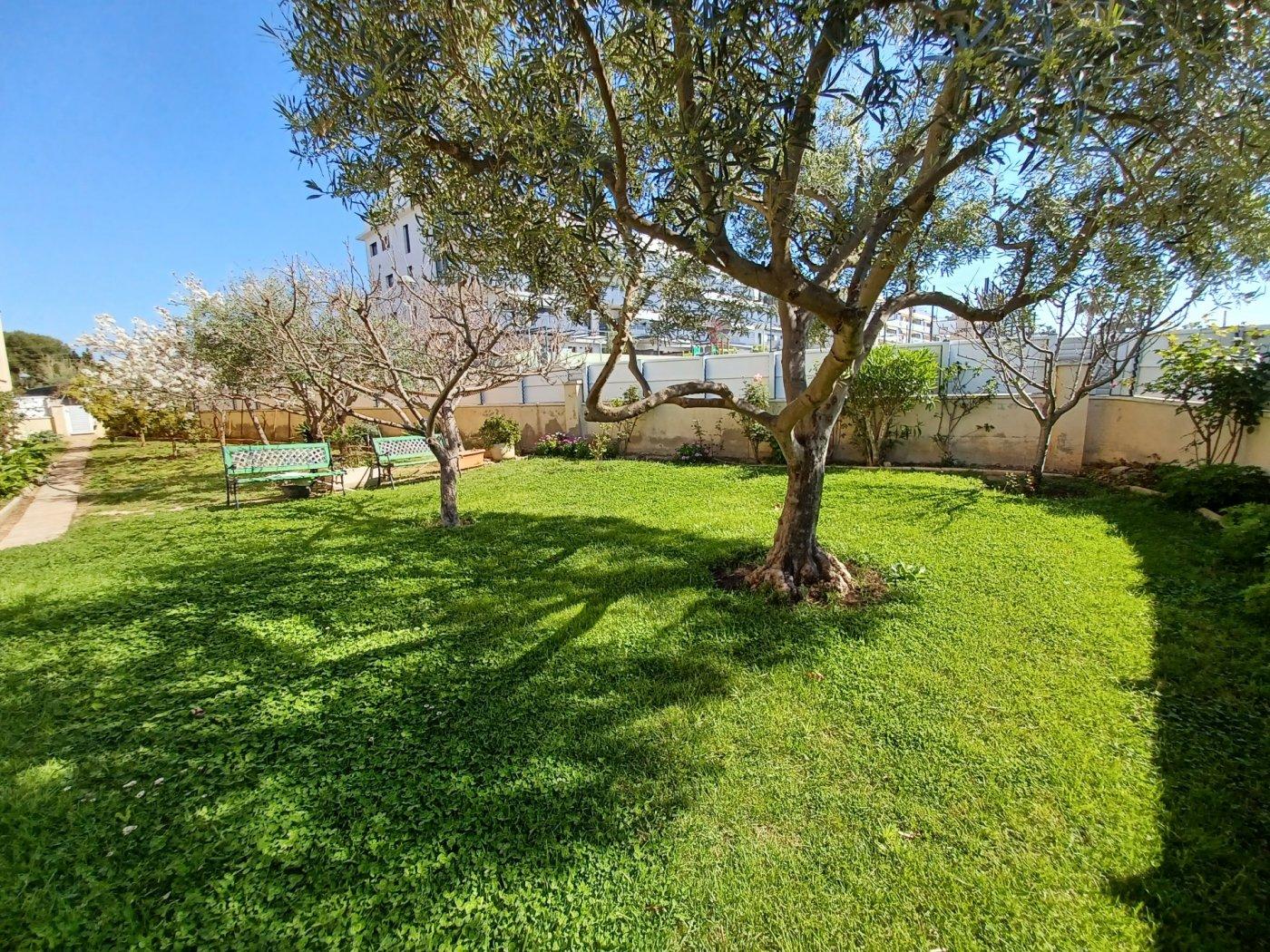 Flat for Sale in Cunit