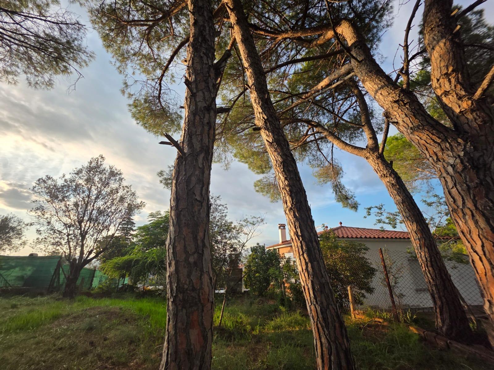Parcela en Venta en Abrera