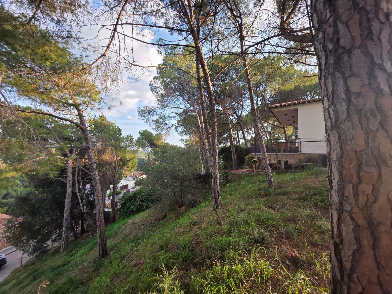 Parcela en Venta en Abrera