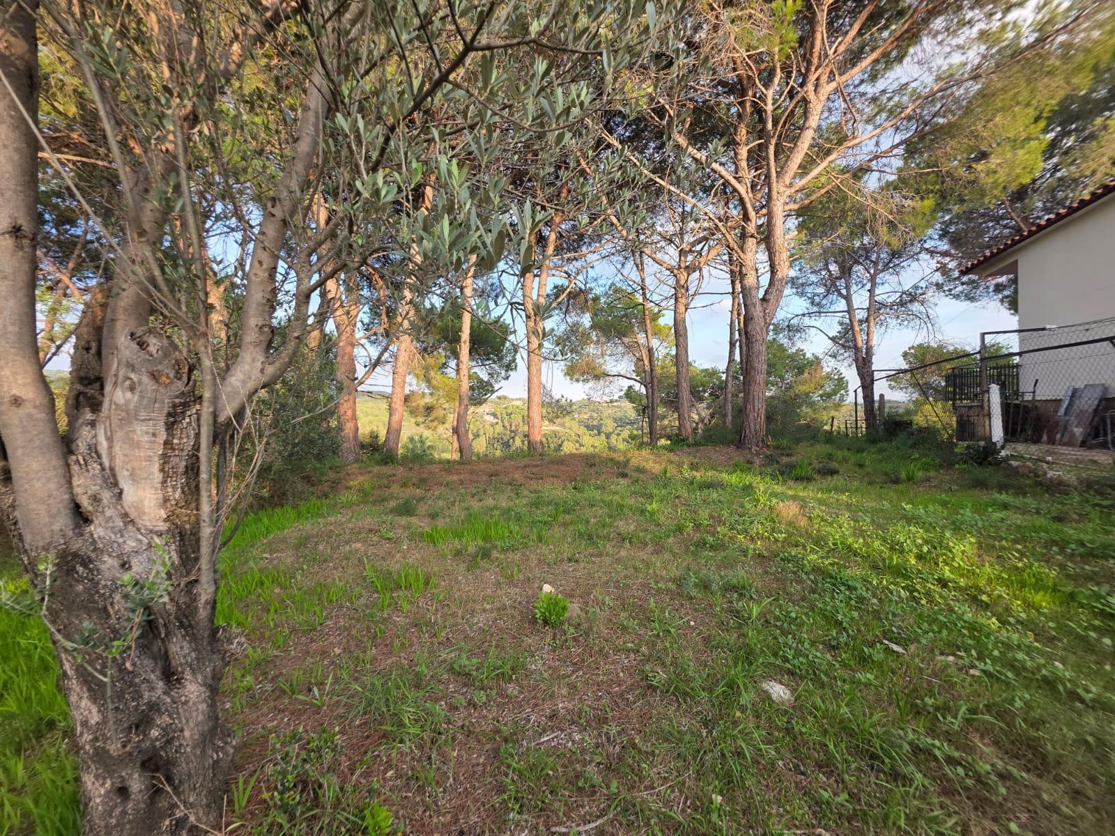 Parcela en Venta en Abrera