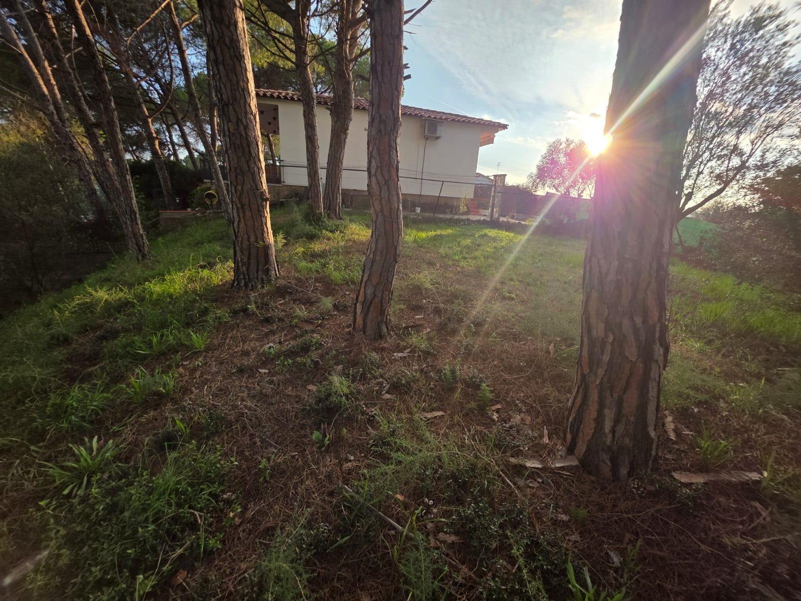 Parcela en Venta en Abrera