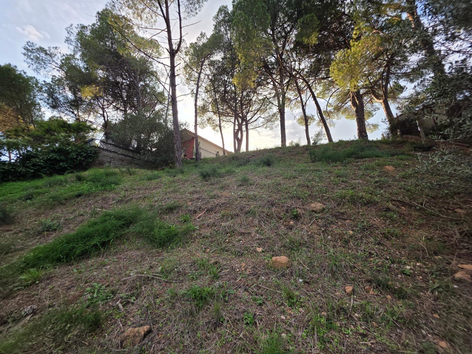 Parcela en Venta en Abrera