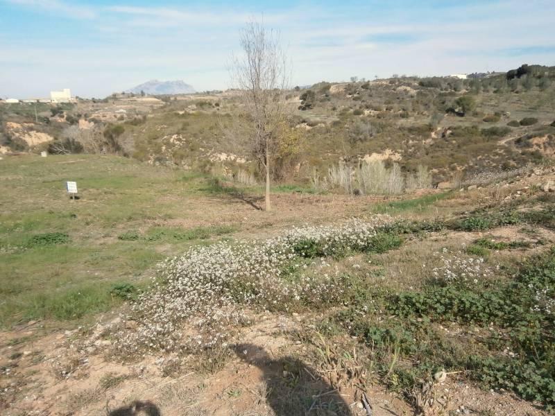 Building Site for Sale in Castellbisbal