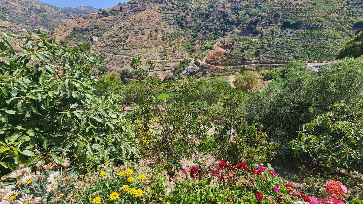 House for Sale in Cómpeta