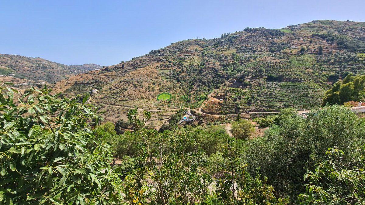 House for Sale in Cómpeta