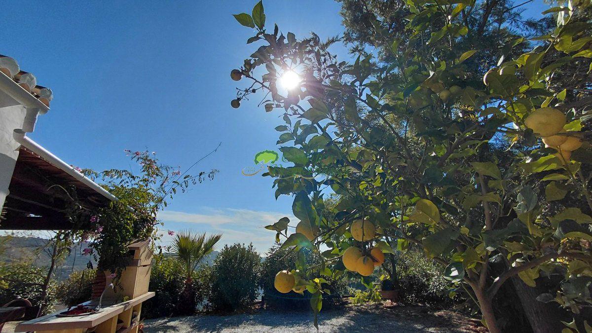 Casa en Venta en Cómpeta