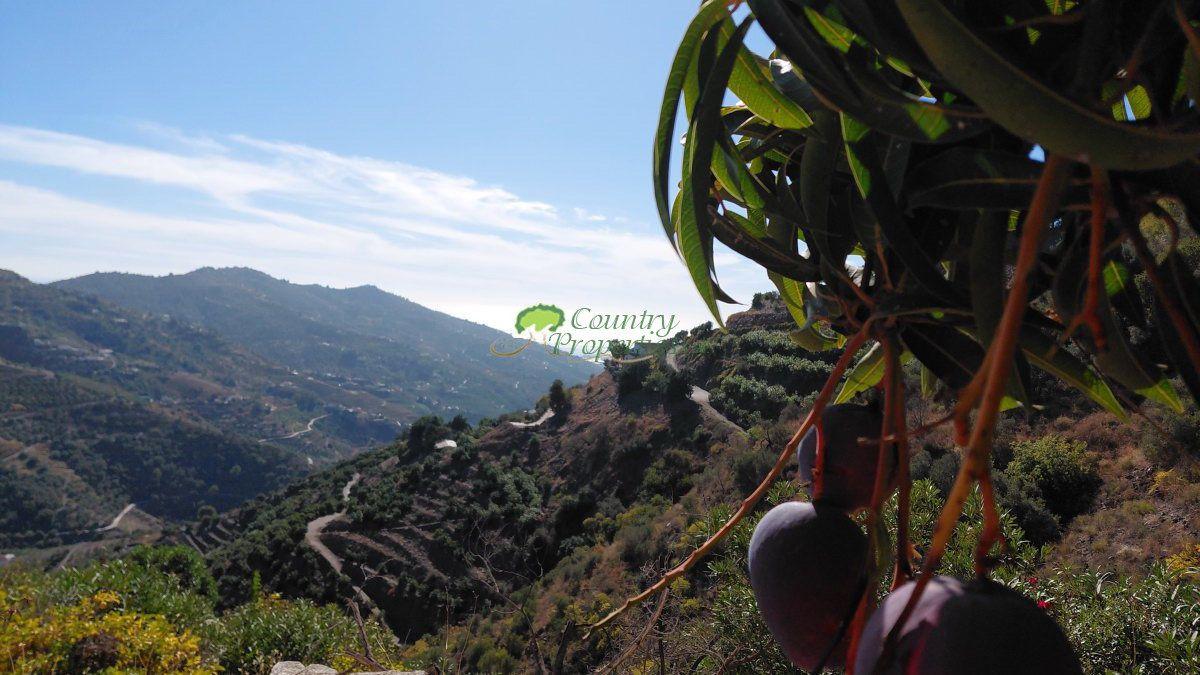 Casa en Venta en Cómpeta