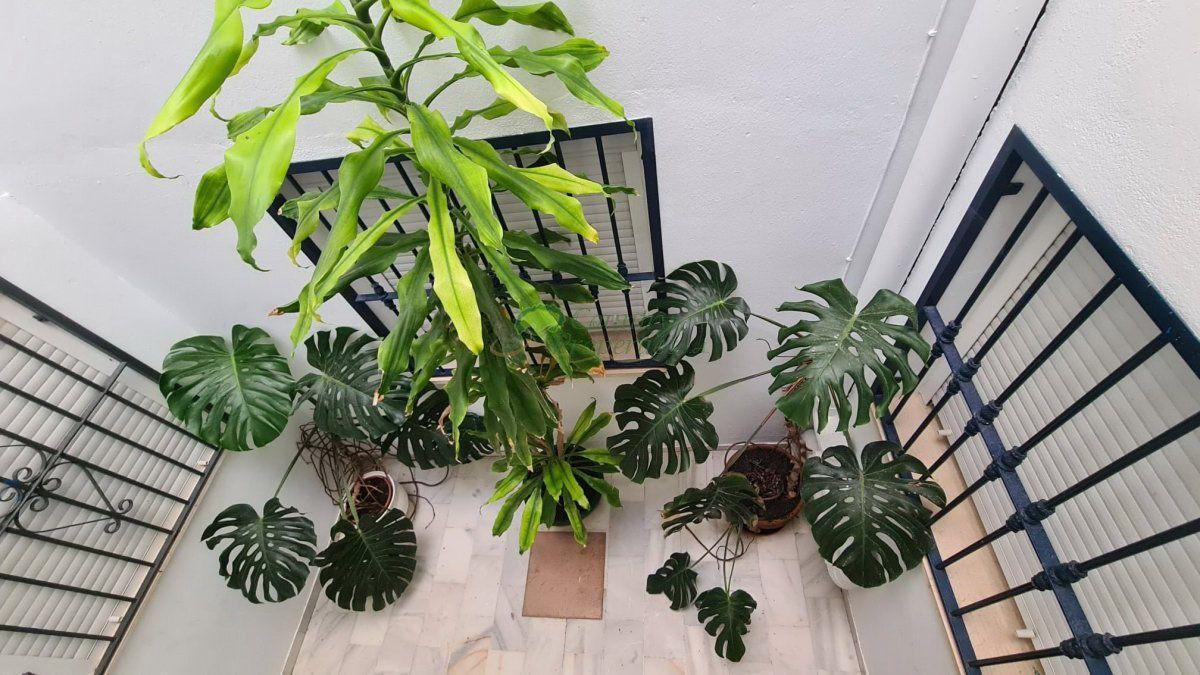 Apartamento en Venta en Cómpeta