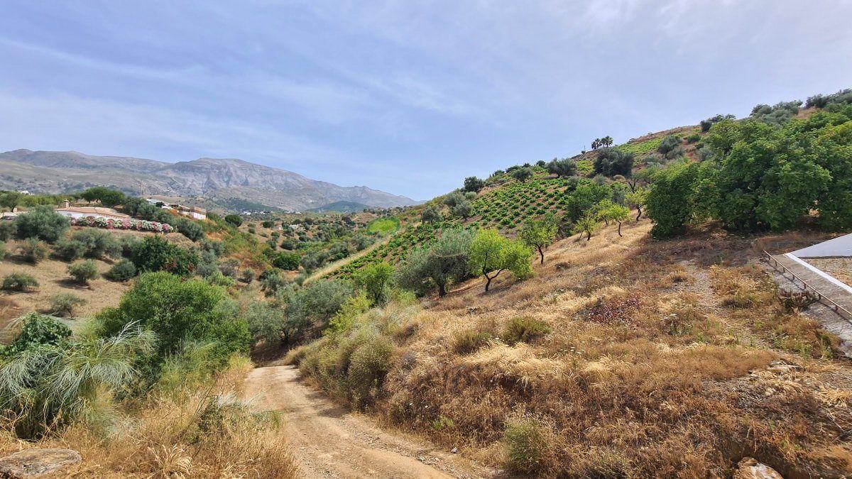 House for Sale in Sedella