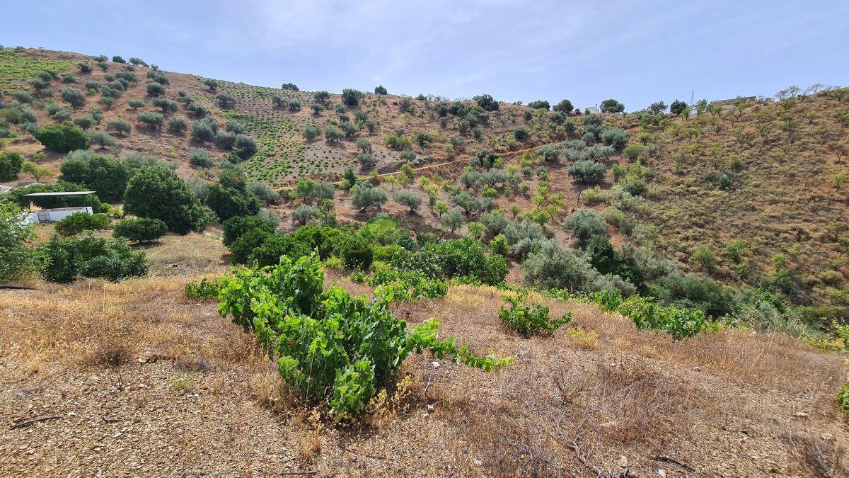 House for Sale in Sedella