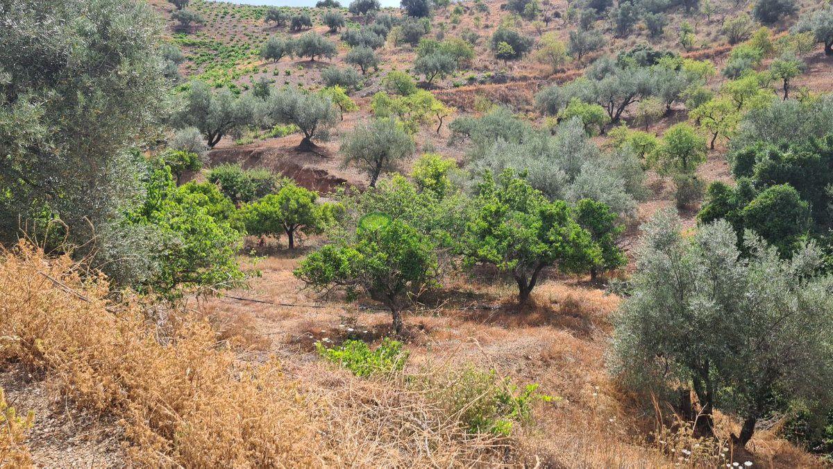 House for Sale in Sedella