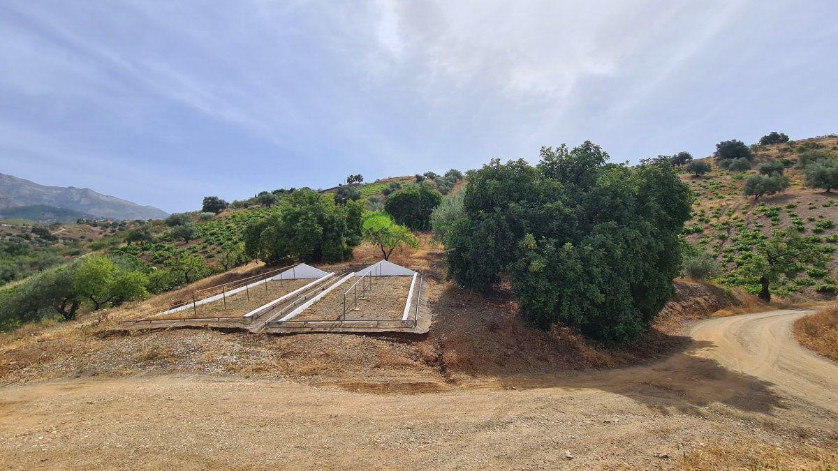 House for Sale in Sedella