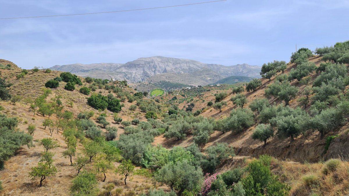 House for Sale in Sedella