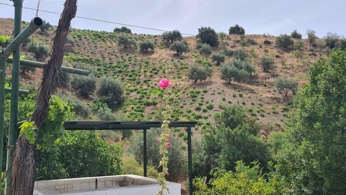 House for Sale in Sedella