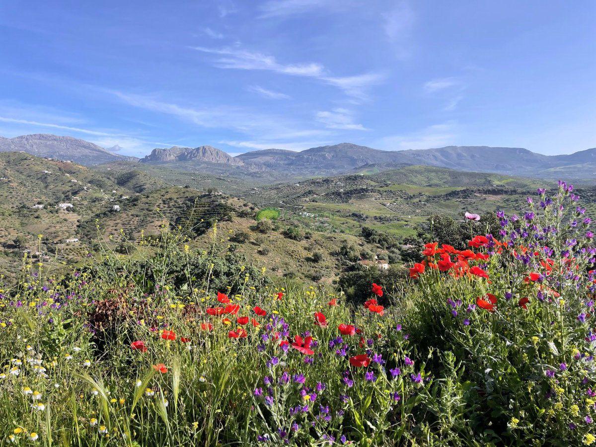 Casa en Venta en Comares