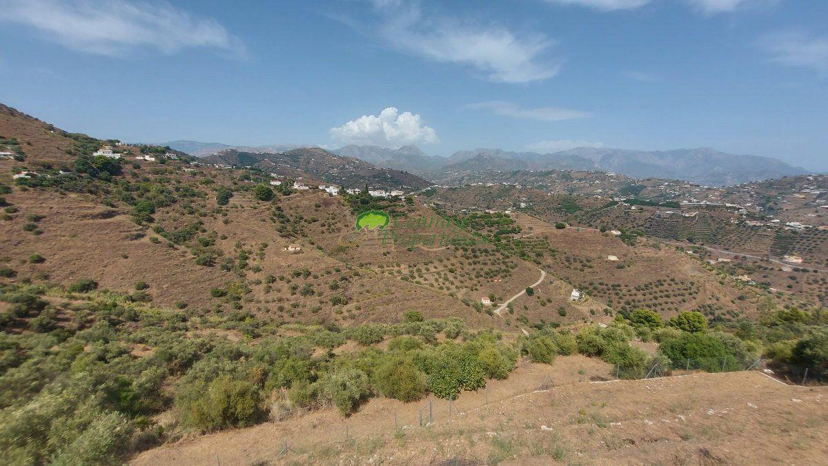 House for Sale in Torrox