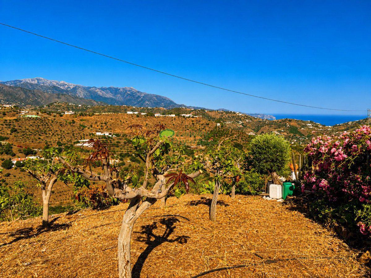 House for Sale in Torrox