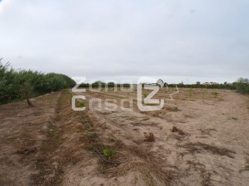 Finca en Venta en Albalat de la Ribera
