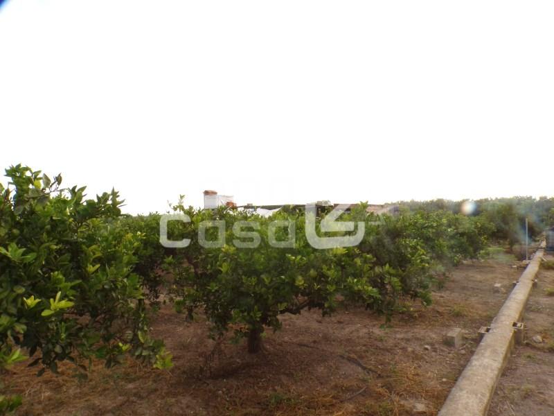 Finca en Venta en Albalat de la Ribera